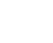 Evolution games at Bizzo Casino